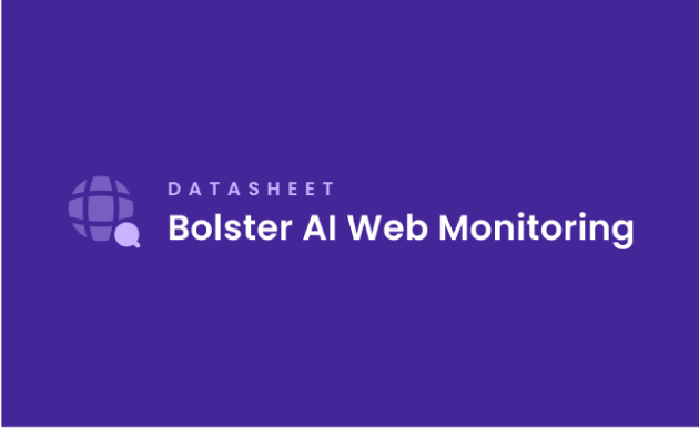 Image of Bolster AI Web Monitoring Datasheet